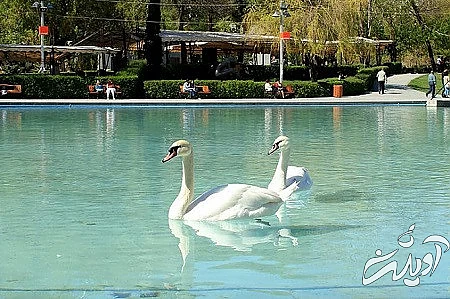 تاریخچه دریاچه قو , پارک دریاچه سوان , دریاچه سوان ایروان